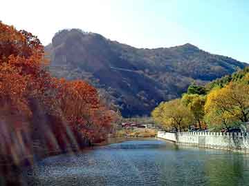 澳门天天开奖免费资料，耐酸瓷板